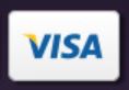 Visa credit card logo